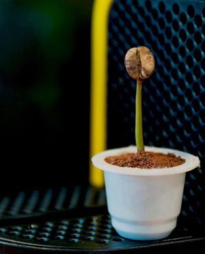 Cápsulas para levar para casa at Adesso Cafe in Itupeva