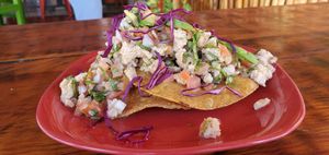 Vegan Ceviche! at Veggie Veggie in Puerto Morelos