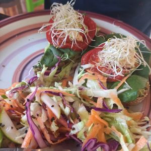 Avo toast at Veggie Veggie in Puerto Morelos