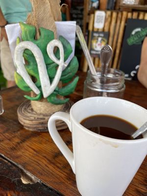   at Veggie Veggie in Puerto Morelos