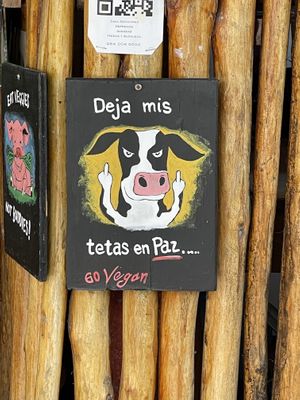   at Veggie Veggie in Puerto Morelos