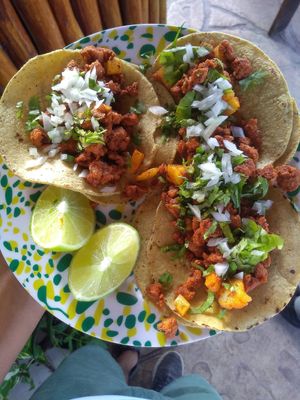 Tacos al pastor vegan at Veggie Veggie in Puerto Morelos