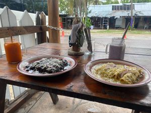 Mole and green enchiladas  at Veggie Veggie in Puerto Morelos