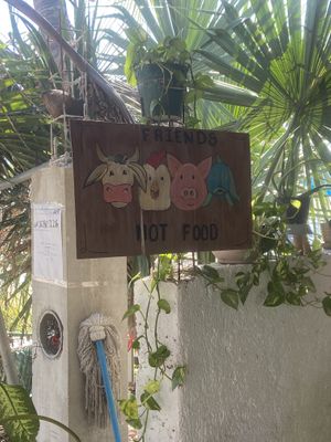   at Veggie Veggie in Puerto Morelos