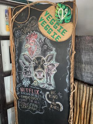   at Veggie Veggie in Puerto Morelos