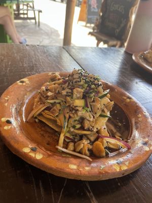 Ceviche  at Veggie Veggie in Puerto Morelos