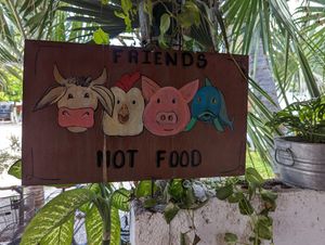  at Veggie Veggie in Puerto Morelos