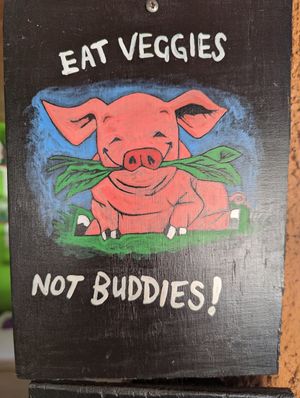  at Veggie Veggie in Puerto Morelos