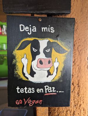  at Veggie Veggie in Puerto Morelos