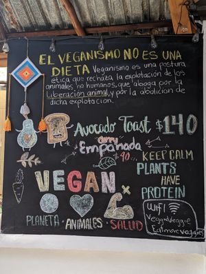  at Veggie Veggie in Puerto Morelos