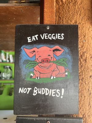   at Veggie Veggie in Puerto Morelos