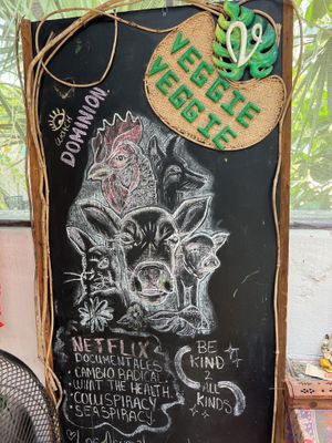   at Veggie Veggie in Puerto Morelos