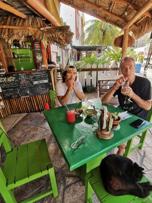  at Veggie Veggie in Puerto Morelos