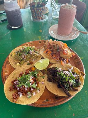 Taco selection  at Veggie Veggie in Puerto Morelos