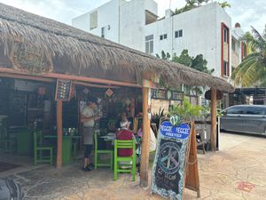  at Veggie Veggie in Puerto Morelos