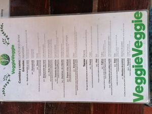 Wow - great menu at Veggie Veggie in Puerto Morelos
