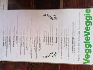 Wow - great menu at Veggie Veggie in Puerto Morelos