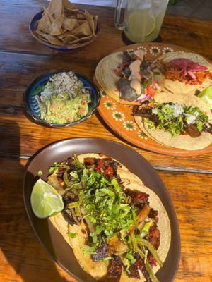  at Veggie Veggie in Puerto Morelos