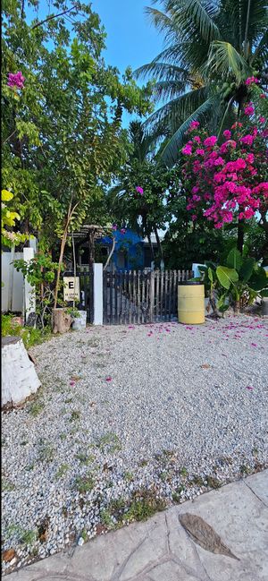 Es una casa y llamas al cel y nadie contesta at Veggie Veggie in Puerto Morelos