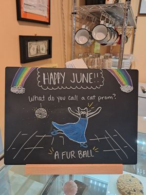  at Nine Lives Cat Café in Indianapolis