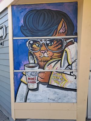  at Nine Lives Cat Café in Indianapolis