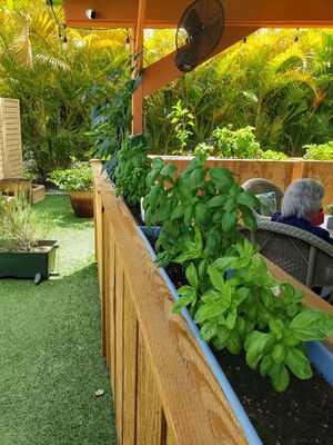  at Hamlet's Eatery  in Sarasota