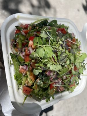 Pico lettuce n micro green   at Aunts et Uncles in Brooklyn