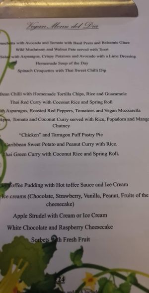 Vegan menu at Patio de la Fuente in Calpe