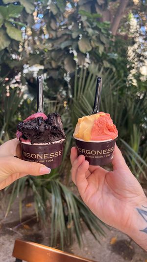 Mixed berry 🫐 and chocolate 🍫 & melon 🍉 and strawberry 🍓   at Borgonesse in Alicante