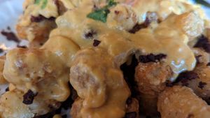 Queso Fundito Nachos - tater tots, cashew queso, vegan chorizo, cilantro at Galaxy Hut in Arlington