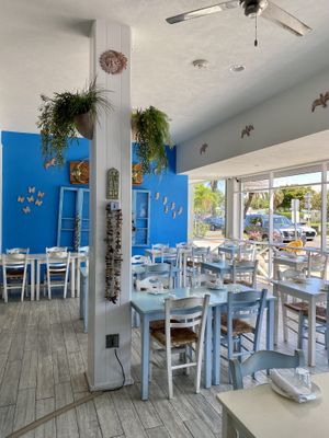   at Blu Kouzina in Sarasota