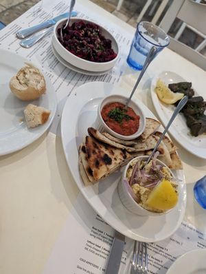 Fresh Rolls at Blu Kouzina in Sarasota