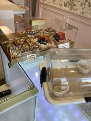   at Phatties Bake Shop in San Diego