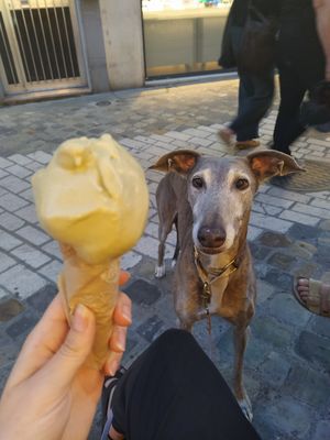  at Puro & Bio in Ravenna