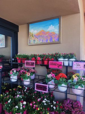   at Trader Joe's in Phoenix