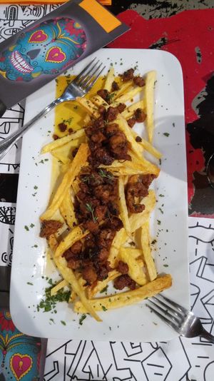 Zorza at Mahara in A Coruna