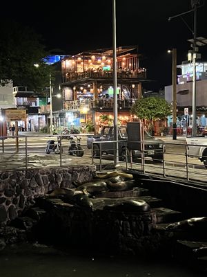 Directly at the pier with sea lions 🦭   at Midori in Puerto Baquerizo Moreno