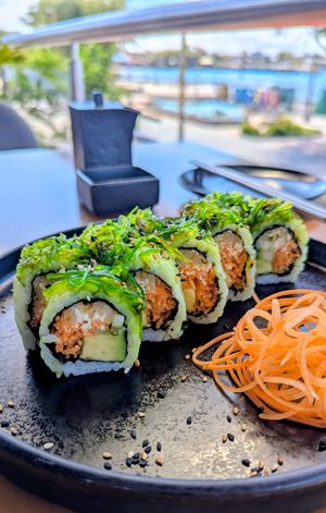  at Midori in Puerto Baquerizo Moreno