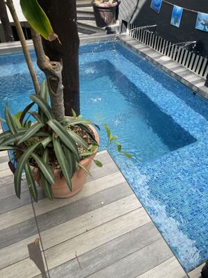 Pool in restaurant   at Coral Restaurante in Cozumel