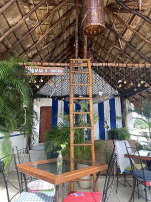 Hammock  at Coral Restaurante in Cozumel