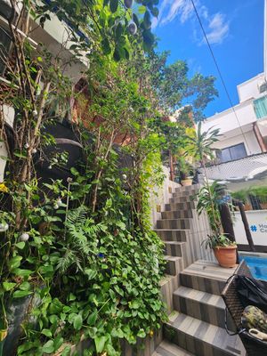 Steep staircase but beautiful scenery at Coral Restaurante in Cozumel