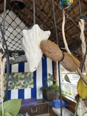 🐚 🐚🐚  at Coral Restaurante in Cozumel