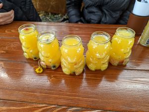 Mimosas. at Brunch Bird in Austin