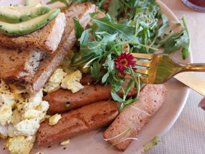  at Organic Jungle in Gran Canaria