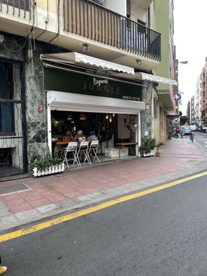 Organic jungle  at Organic Jungle in Gran Canaria