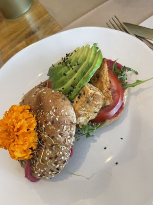 African jungle vegetal  at Organic Jungle in Gran Canaria