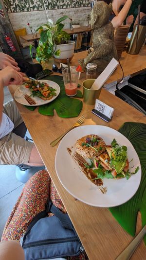  at Organic Jungle in Gran Canaria