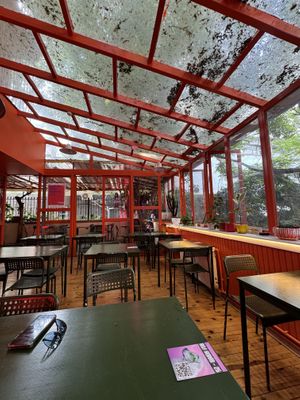   at Junk Vegan in Ankara