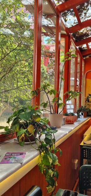  at Junk Vegan in Ankara