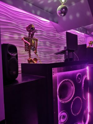 The DJ at Monster Vegan in Philadelphia